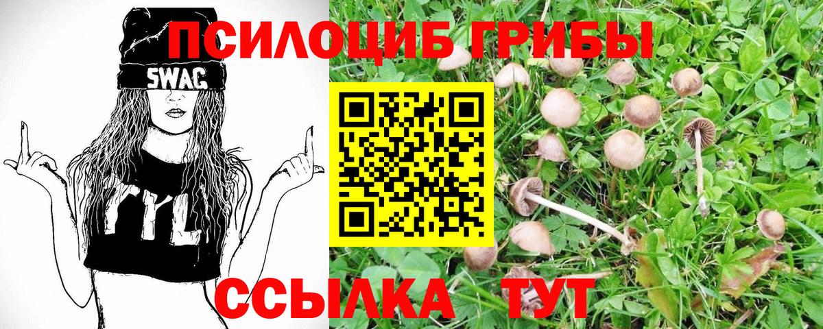 Киселёвск  Галлюциногенные грибы мухоморы  Вход с VPN 